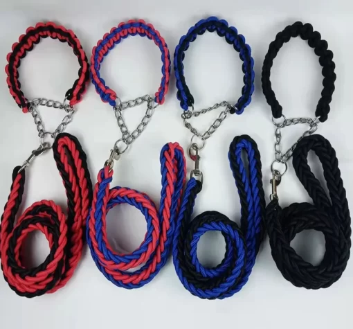 Dog Leash with Collar 3.0mmx1.2m Asst Colors