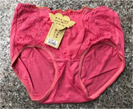 Lady's brief underwear