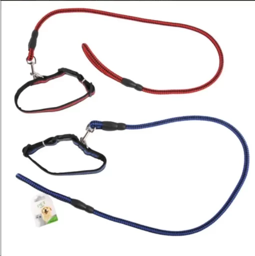 Dog leash/Collar